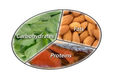 carb-fat-protein